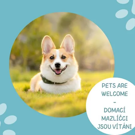 阿尔斯基酒店 Špindlerŭv Mlýn