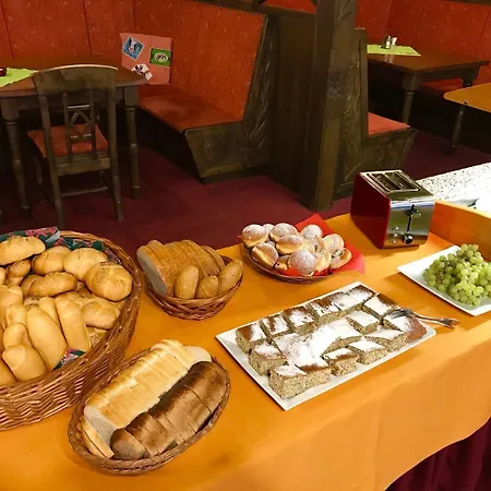 酒店 阿尔斯基酒店 3*