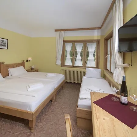 Alpsky Hotel Szpindlerowy Młyn