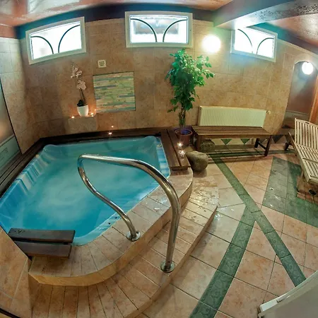 Alpsky Hotel Špindlerŭv Mlýn