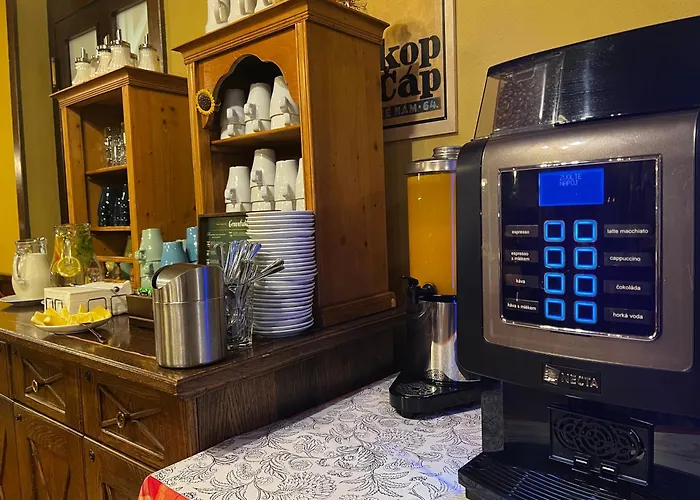 Alpsky فندق Špindlerŭv Mlýn