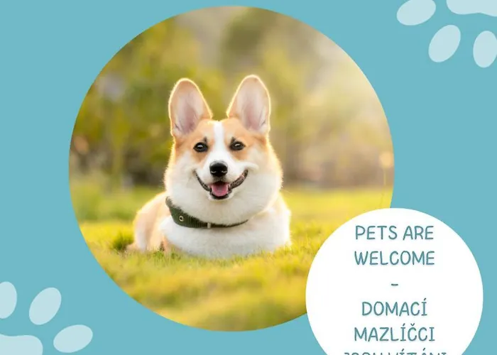 Alpsky Špindlerŭv Mlýn